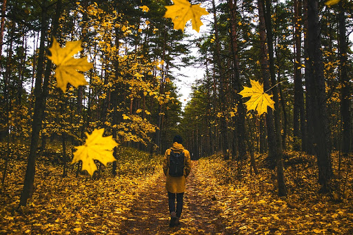 10 Fantastic Fall Activities